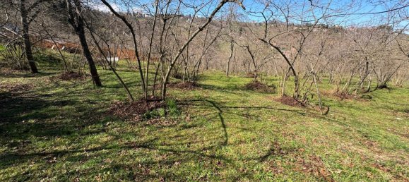 1 room Land in Trabzon, Turkey No. 20783 21