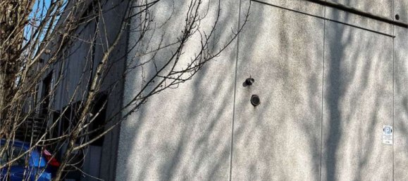 Lagerhaus in Modena, Italy 170m², Nr. 372201 12