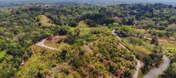 terreno en venta en Savegre, Quepos, Puntarenas, Costa Rica № 2039 6