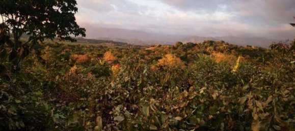 terreno en venta en Savegre, Quepos, Puntarenas, Costa Rica № 2039 2
