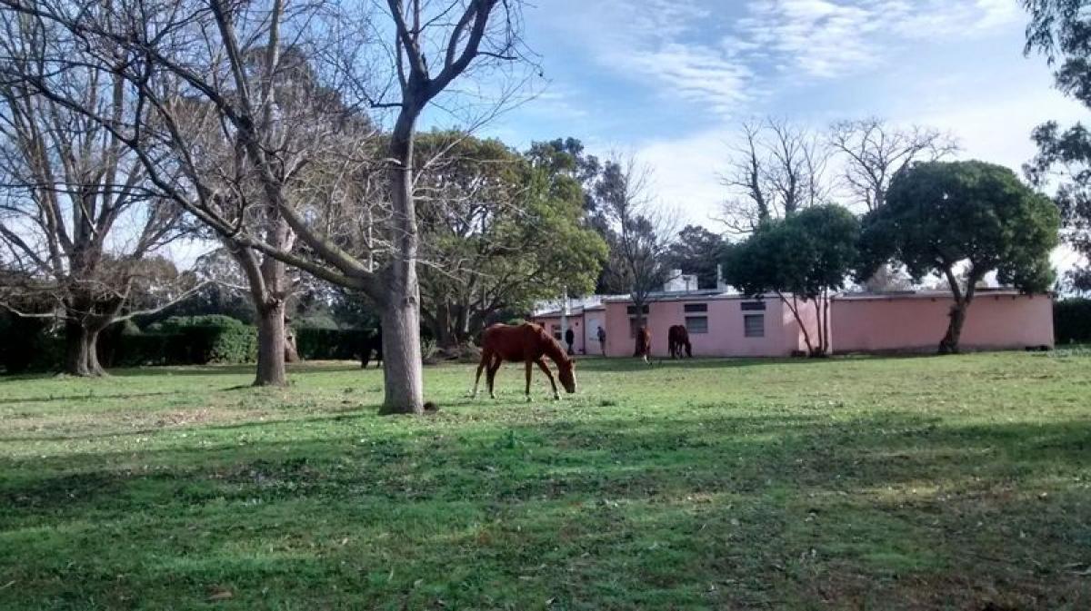 3 bedrooms House in Mar del Plata, Argentina No. 80403