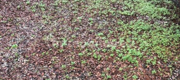 Дом с 1 спальней в Масса, Италия № 216503 11