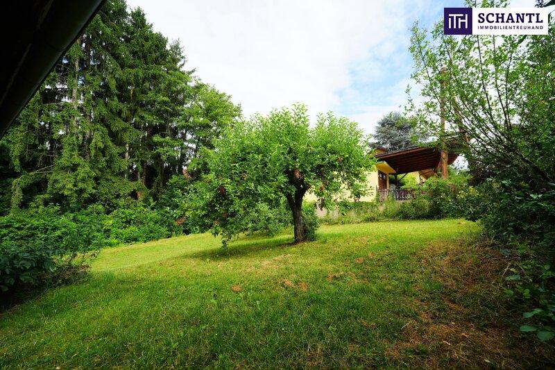  Land in Graz, Austria No. 229529