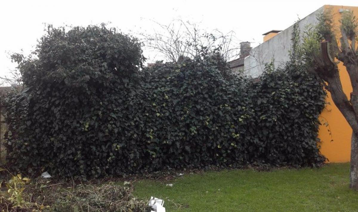 Terreno en Mar del Plata, Argentina No. 119900