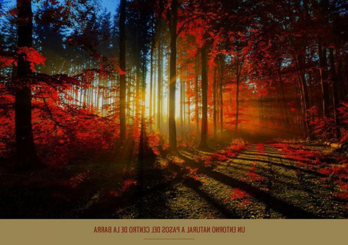  Land in Maldonado, Uruguay No. 15062