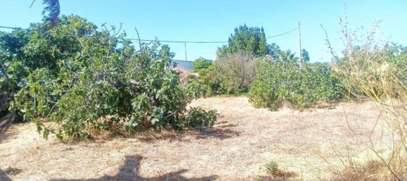 Вилла с 10 комнатами в Торричелла, Италия № 295446 12