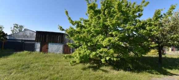 4 bedrooms House in Markisch-Oderland, Germany No. 340467 8