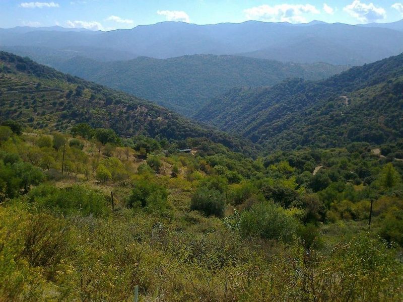  قطعة أرض في Malaga, Spain 40165متر مربع رقم 222620