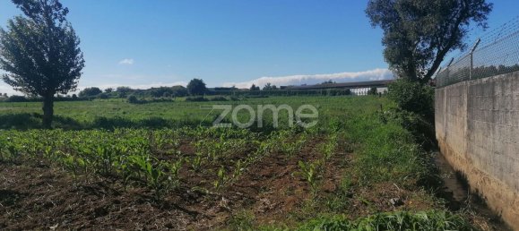 Terreno em Vila Nova de Famalicão, Portugal 9024 m² N.º 32686 17