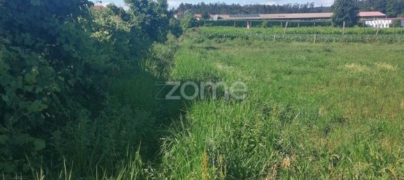 Terreno em Vila Nova de Famalicão, Portugal 9024 m² N.º 32686 11