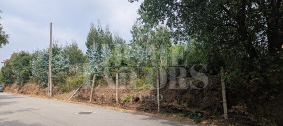 Grundstück in Canelas, Portugal, Nr. 195048 4