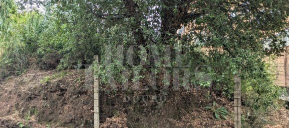 Grundstück in Canelas, Portugal, Nr. 195048 3