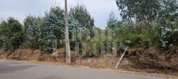 Grundstück in Canelas, Portugal, Nr. 195048 8