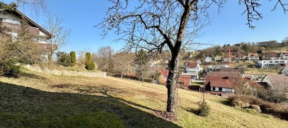 6 bedrooms Building in Calw, Germany No. 11809 9