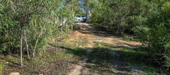 Grundstück in Lagoa, Portugal 7110m², Nr. 315882 5