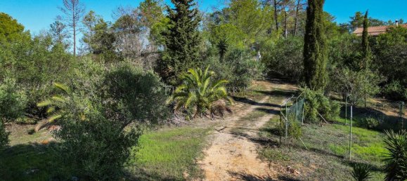 Grundstück in Lagoa, Portugal 7110m², Nr. 315882 4