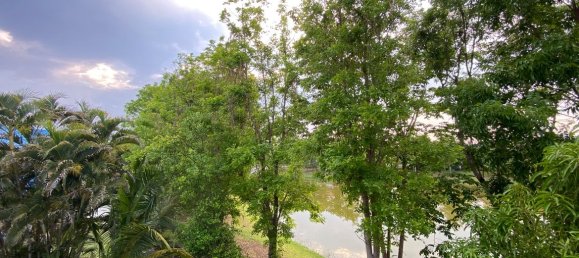 3 bedrooms Cafe / restaurant in Chiang Mai, Thailand No. 21625 21