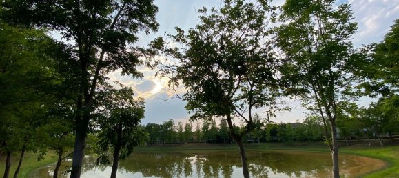 3 bedrooms Cafe / restaurant in Chiang Mai, Thailand No. 21625 6