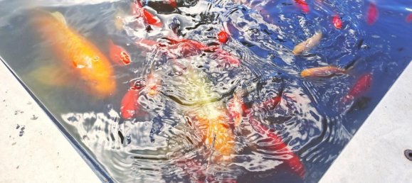 11 rooms House in Landsberg am Lech, Germany No. 282034 16