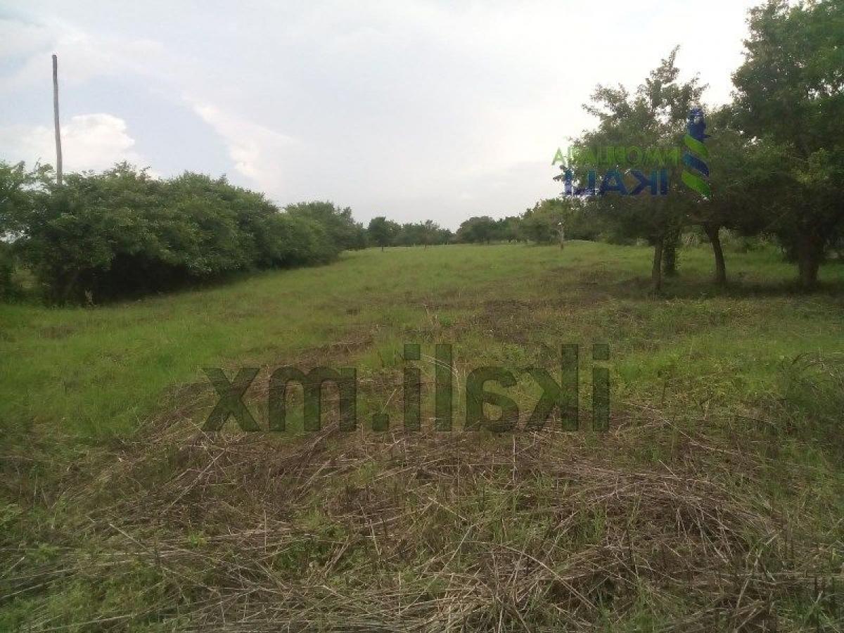  Land in Veracruz, Mexico No. 205098