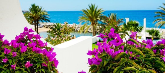 1 bedroom Apartment in Mogan, Spain No. 149239 27