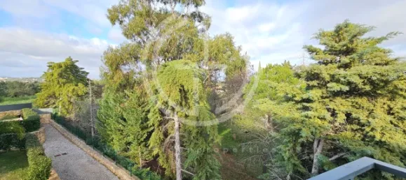 3 bedrooms House in Silves, Portugal No. 116919 30