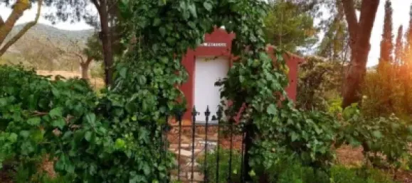 3 bedrooms House in Fuente Alamo, Spain No. 144193 32