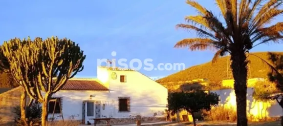 3 bedrooms House in Fuente Alamo, Spain No. 144193 46