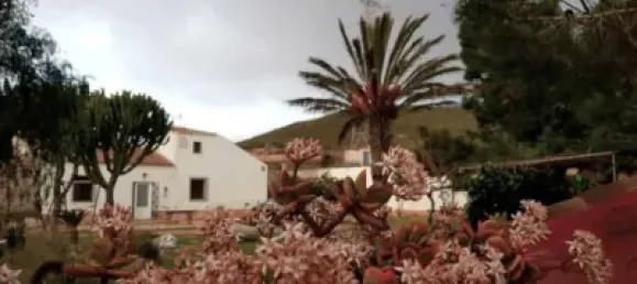 3 bedrooms House in Fuente Alamo, Spain No. 144193 3