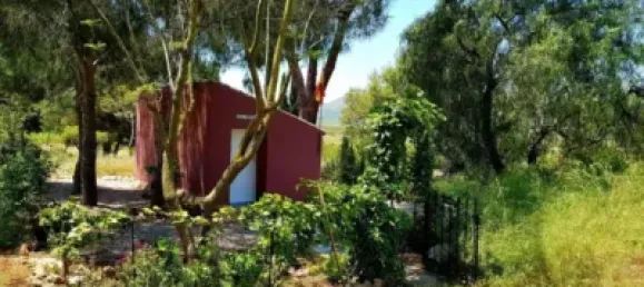 3 bedrooms House in Fuente Alamo, Spain No. 144193 38