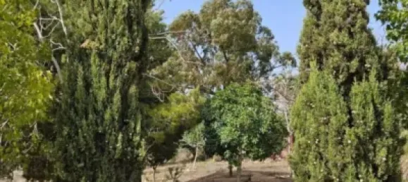 3 bedrooms House in Fuente Alamo, Spain No. 144193 43