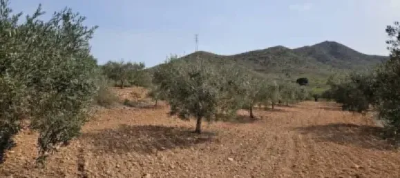 3 bedrooms House in Fuente Alamo, Spain No. 144193 37