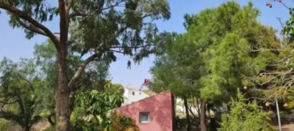 3 bedrooms House in Fuente Alamo, Spain No. 144193 39