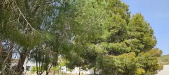 3 bedrooms House in Fuente Alamo, Spain No. 144193 40