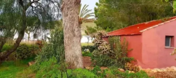 3 bedrooms House in Fuente Alamo, Spain No. 144193 29