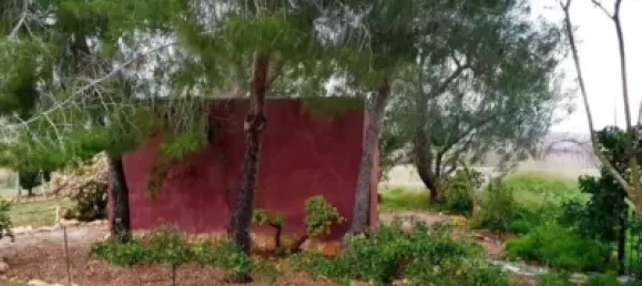 3 bedrooms House in Fuente Alamo, Spain No. 144193 28