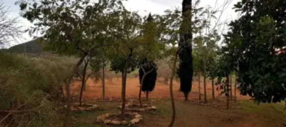 3 bedrooms House in Fuente Alamo, Spain No. 144193 42