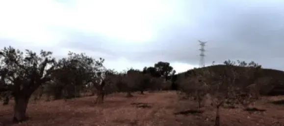 3 bedrooms House in Fuente Alamo, Spain No. 144193 20