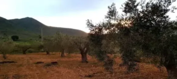 3 bedrooms House in Fuente Alamo, Spain No. 144193 36