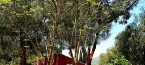 3 bedrooms House in Fuente Alamo, Spain No. 144193 41