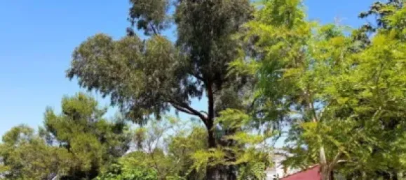 3 bedrooms House in Fuente Alamo, Spain No. 144193 24