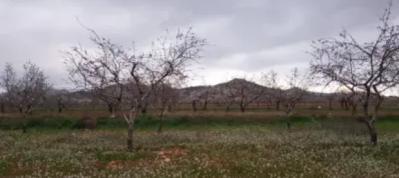 3 bedrooms House in Fuente Alamo, Spain No. 144193 34