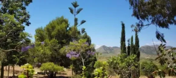 3 bedrooms House in Fuente Alamo, Spain No. 144193 23