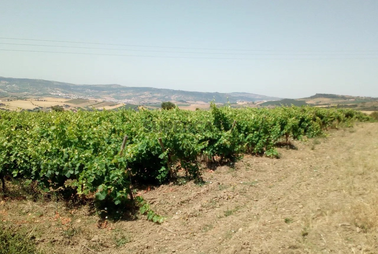  Land in Alenquer, Portugal No. 298118