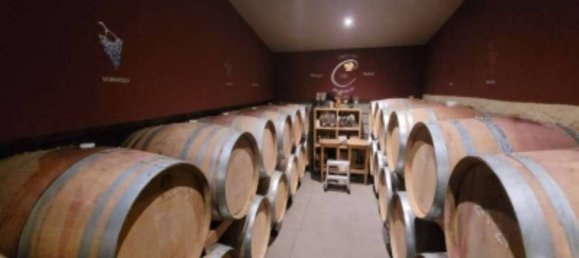 751m² Commercial property in Trentino-Alto Adige, Italy No. 324823 2