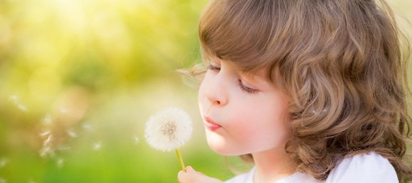 4 rooms House in Havelland, Germany No. 304475 12