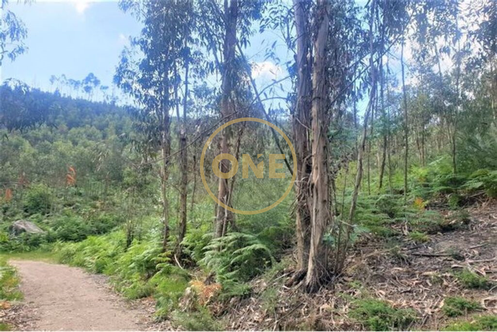 Terreno em Vila Nova de Famalicão, Portugal 78300 m² N.º 35310