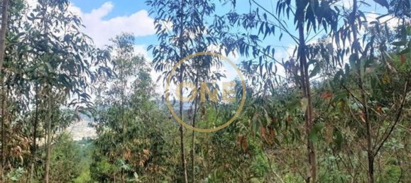 Terreno en Vila Nova de Famalicao, Portugal 78300 m² No. 35310 2