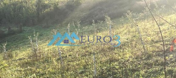 40820m² Land in Folignano, Italy No. 122665 5