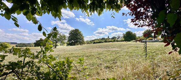 Дом с 3 спальнями в Мен и Луара, Франция № 293431 17